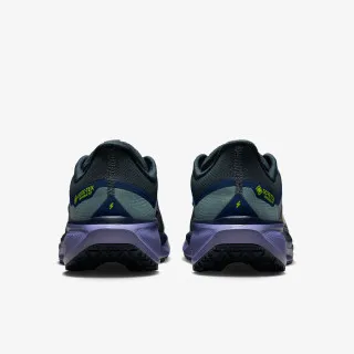 Nike AIR ZM PEGASUS 41 GTX