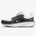 Nike Air WInflo 11 