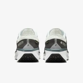 Nike Air WInflo 11 