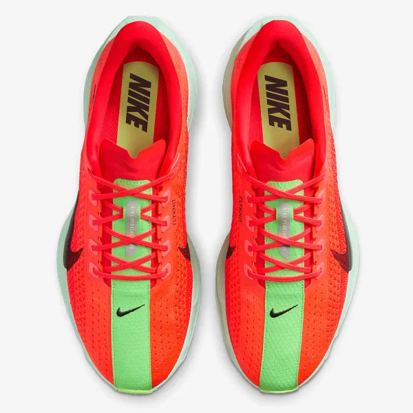 Nike PEGASUS PLUS 