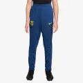 Nike FCB Y NK DF STRK PANT KPZ SE 