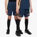 Nike Academy 23 