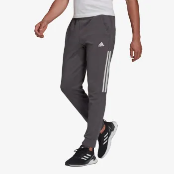 MOTION PANT