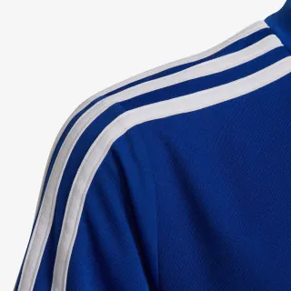 adidas DESIGNED TO MOVE 