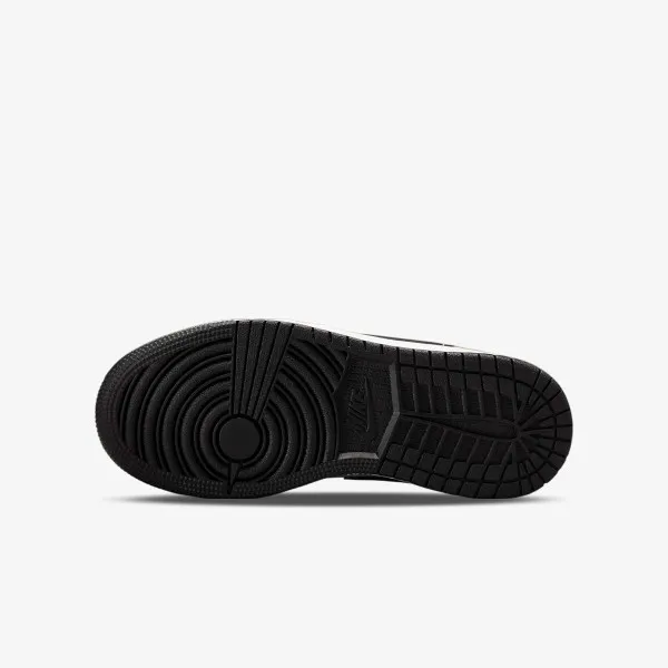 Nike AIR JORDAN 1 LOW BG CN 