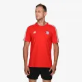 adidas FCB DNA TEE 