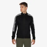 adidas Sweatshirt 