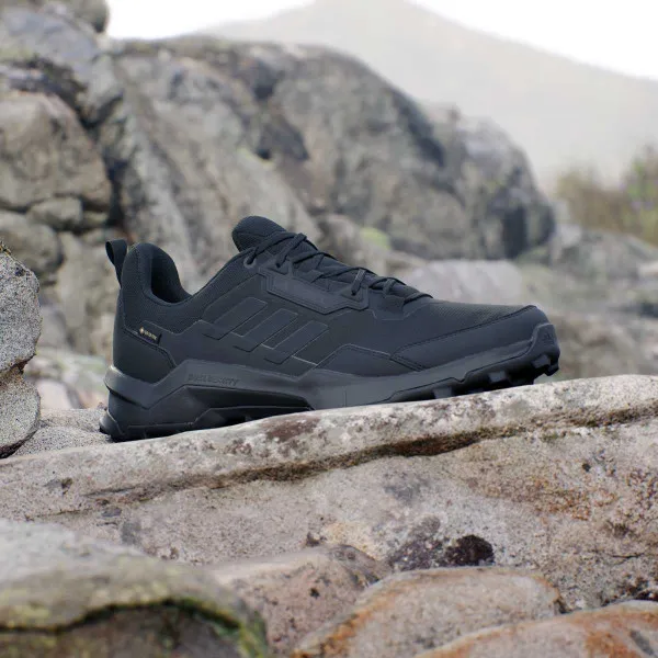 adidas TERREX AX4 GTX 