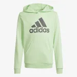 adidas Big Logo Essentials 