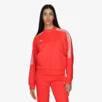 adidas TIRO TRACK 