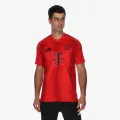 adidas FCB H JSY 