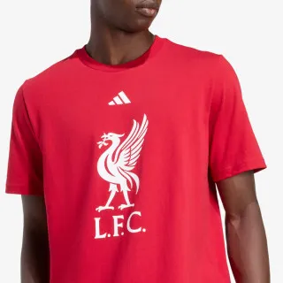 adidas LFC DNA GR TEE 
