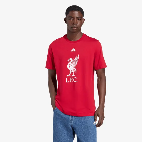 adidas LFC DNA GR TEE 