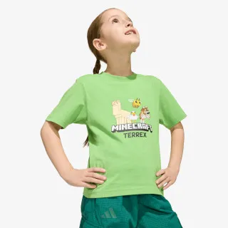 adidas Minecraft Terrex 