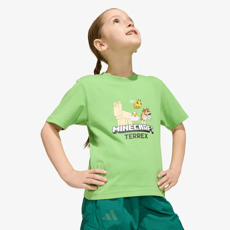 adidas Minecraft Terrex 