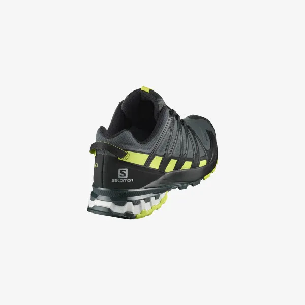 Salomon XA PRO 3D v8 GTX 