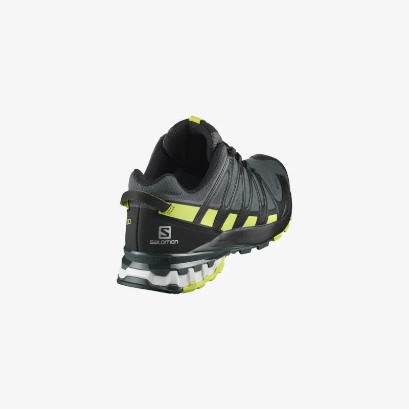 Salomon XA PRO 3D v8 GTX 