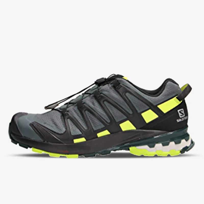 Salomon XA PRO 3D v8 GTX 
