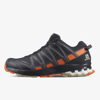 Salomon XA PRO 3D v8 GTX 