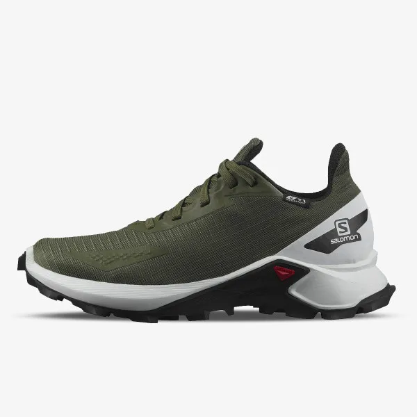 Salomon ALPHACROSS BLAST 
