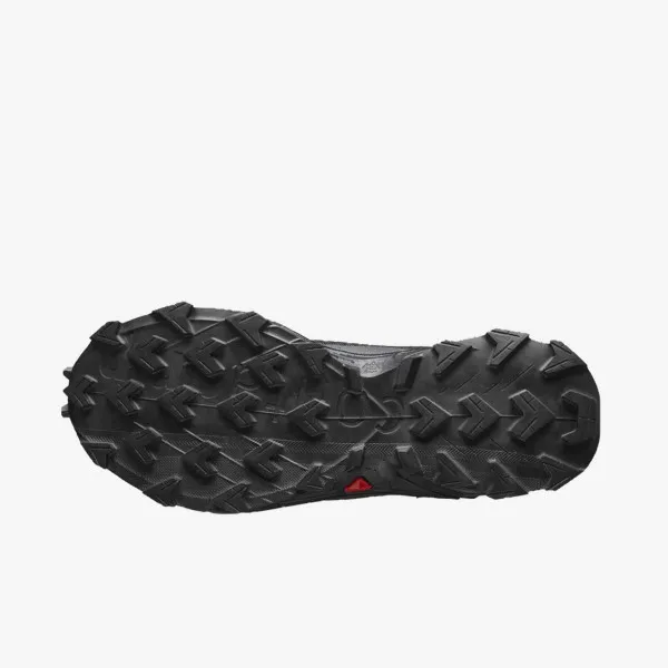 Salomon ALPHACROSS 4 GTX W 