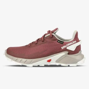 Salomon Salomon ALPHACROSS 4 GTX W 