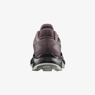 Salomon Alphacross 5 GTX 