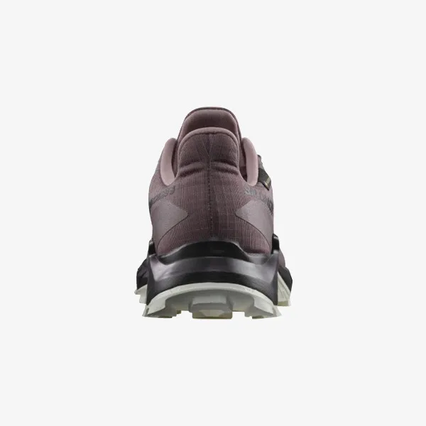 Salomon Alphacross 5 GTX 