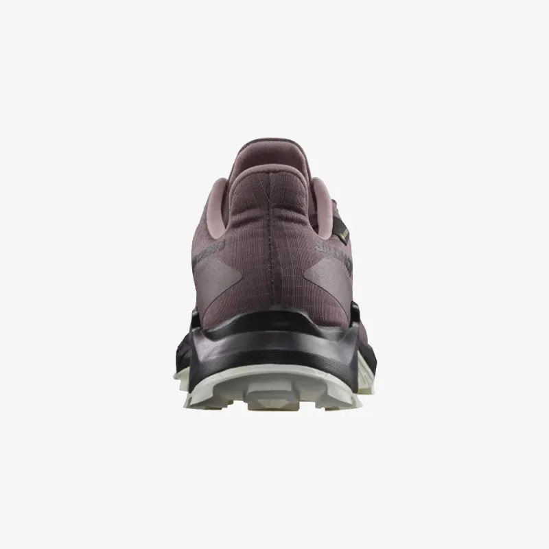Salomon Alphacross 5 GTX 