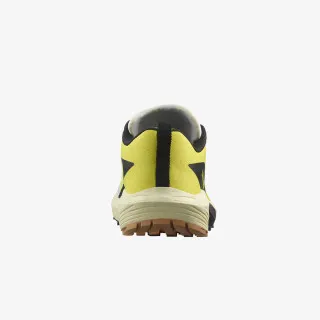 Salomon SENSE RIDE 5 W 