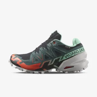 Salomon SPEEDCROSS 6 GTX W 