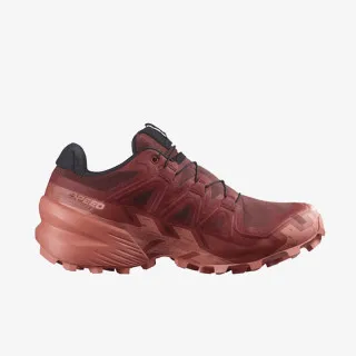 Salomon SPEEDCROSS 6 GTX W 