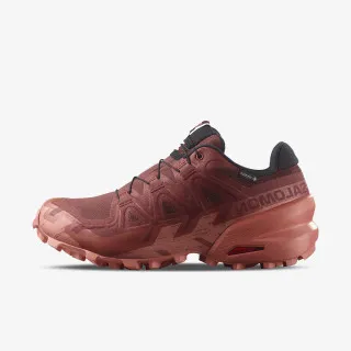 Salomon SPEEDCROSS 6 GTX W 