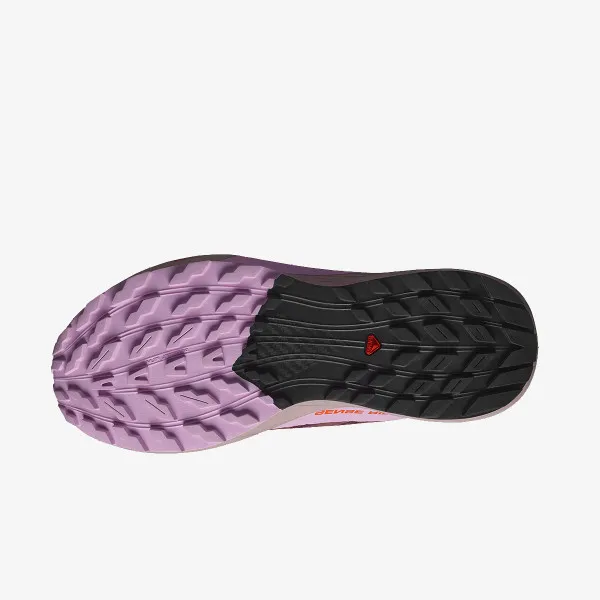 Salomon SENSE RIDE 5 GTX W 