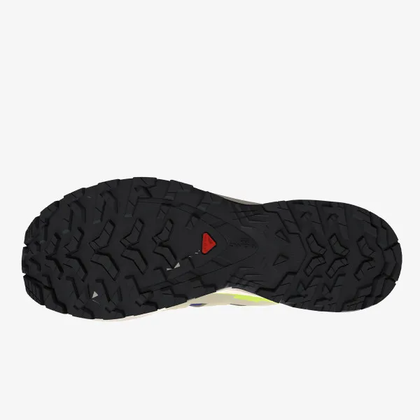Salomon XA PRO 3D V9 