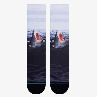 Stance LANDLORD 