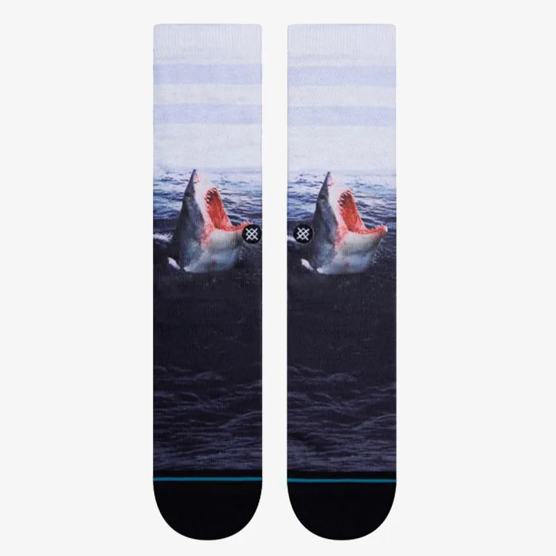Stance LANDLORD 