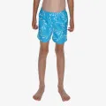 Nike 4 inch Volley Short 