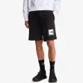 The North Face BOX NSE LIGHT REGULAR SHORTS 