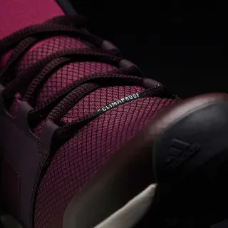 adidas TERREX VOYAGER CW CP W 